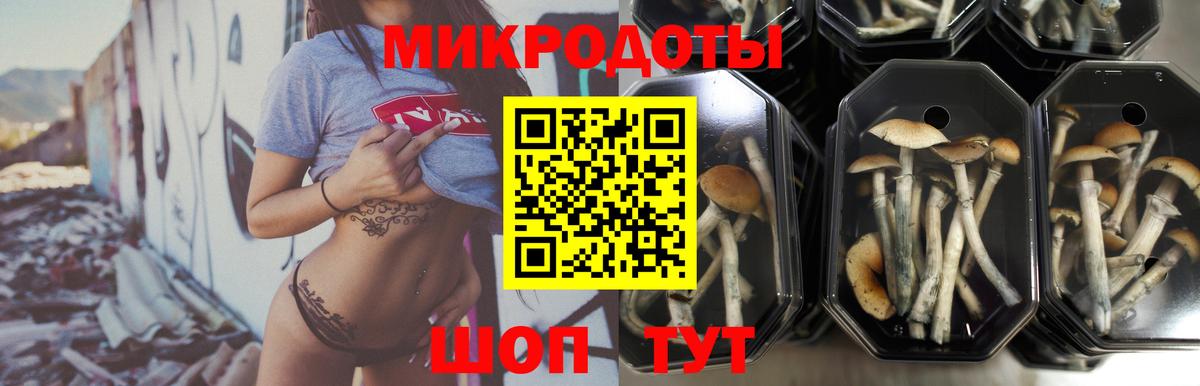 Галлюциногенные грибы MAGIC MUSHROOMS Чайковский